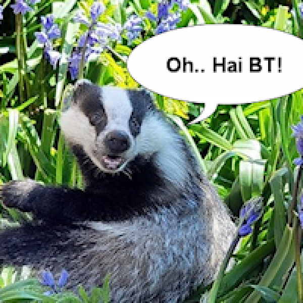 badger_bt