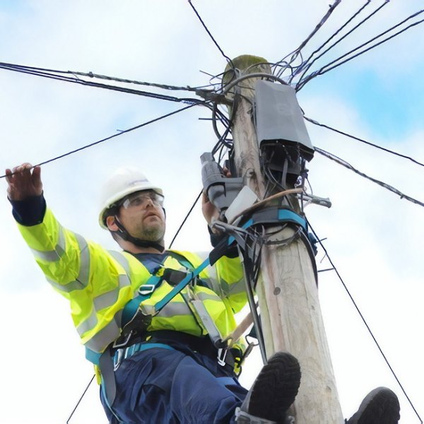 telegraph pole and bt engineer