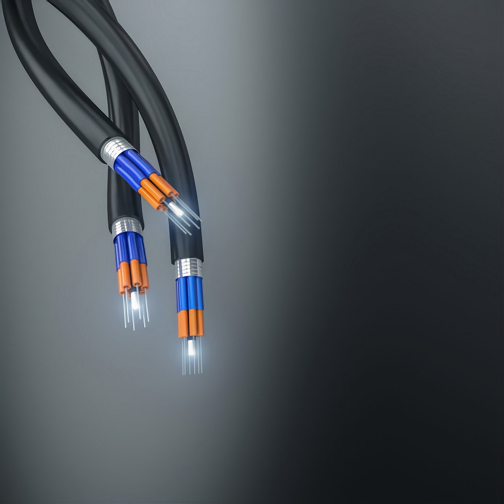 3d rendering of optical fiber cable