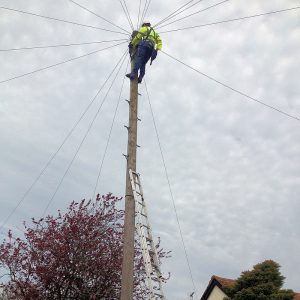 telegraph pole high engineer