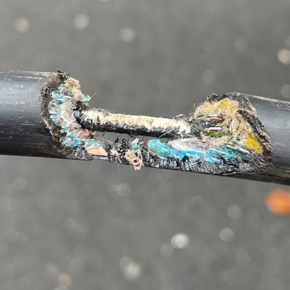 Damaged-Openreach-Cable-by-Rats