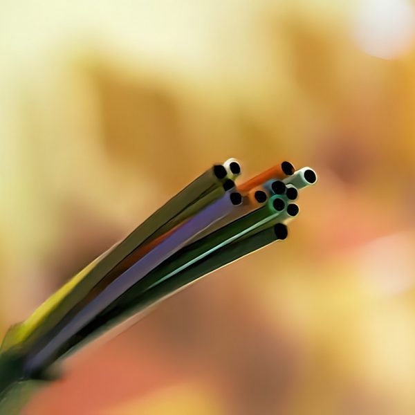 fibre optic cable cords gigapixel