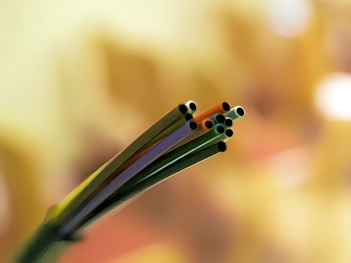 fibre optic cable cords gigapixel