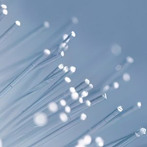 fibre optic cable strands gigapixel