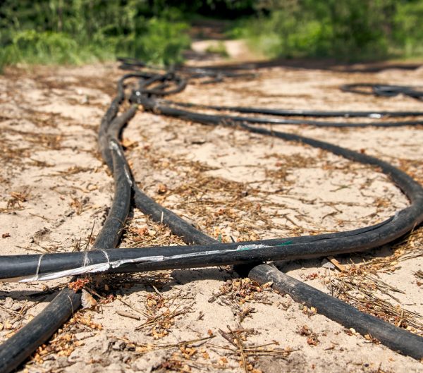 Stolen cable on ground in a forest. Stripped of metal wires