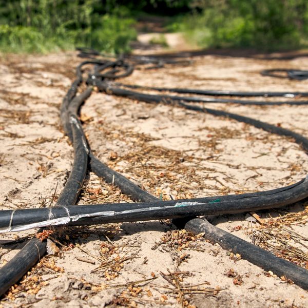 copper cable resting exposed on the sandy ground