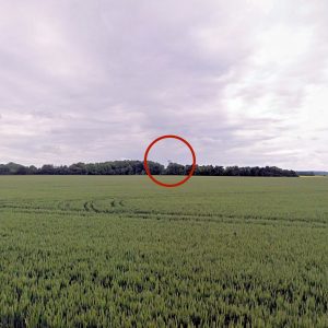 EE-Leaveland-Mast-in-Kent