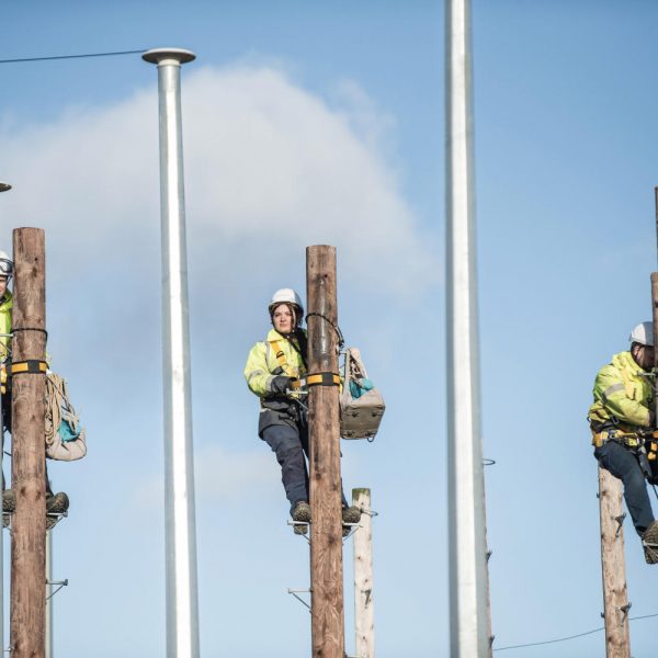 Engineers in Training up Telegraph Poles