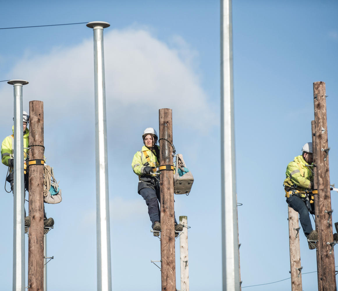 Engineers-in-Training-up-Telegraph-Poles