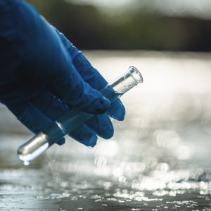 Water and Pollution Risk - from a pond into a test tube.