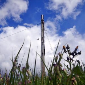 Vodafone 4G and 5G OpenRAN Rural Mast