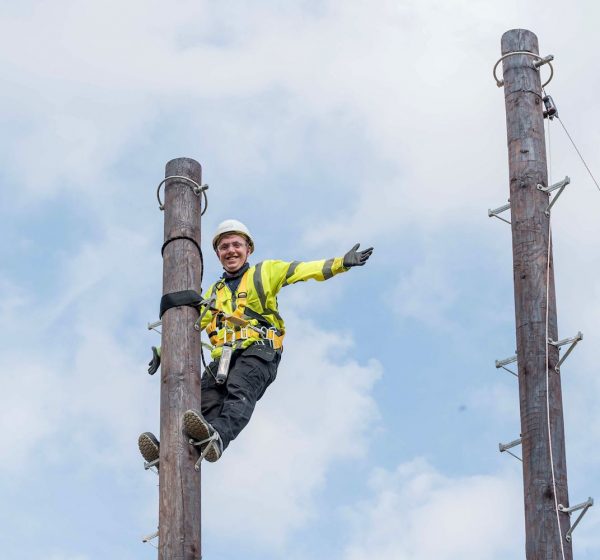 Wildanet-Trainee-Engineer-up-Pole
