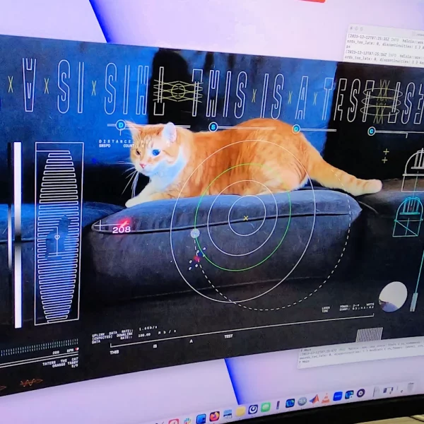 Speedtest-of-a-Space-Cat-Video