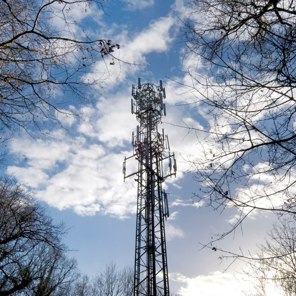 Virgin-Media-O2-5G-SA-Mobile-Mast-Surrounded-by-Trees-2023