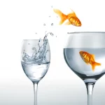 fish-broadband-switching-between-wine-glasses-123RF-19893752