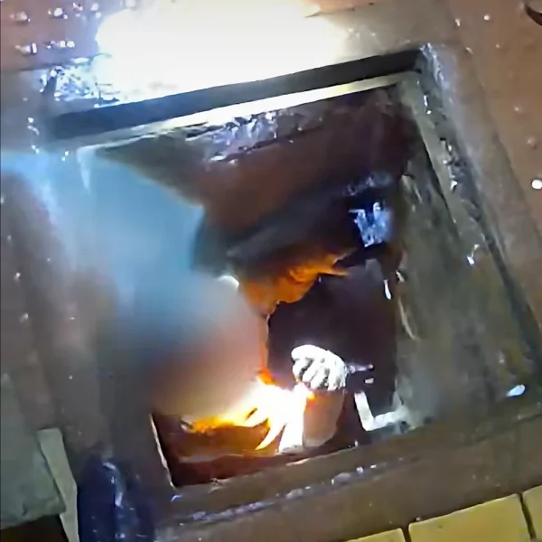 West-Midlands-Police-Video-of-Arrest-210126