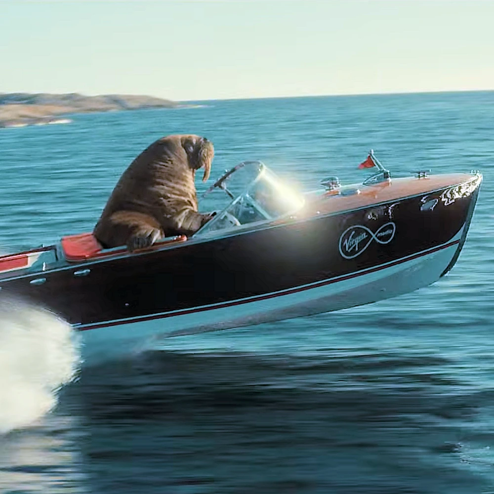 ASA UK Criticise Virgin Media’s Walrus Broadband TV Ad After BT Complaint