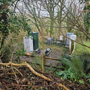 Tenby Mobile Mast by Ryan with permission 080426