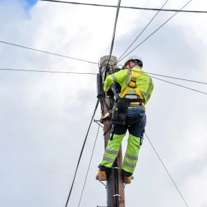 Wildanet 2026 engineer up pole