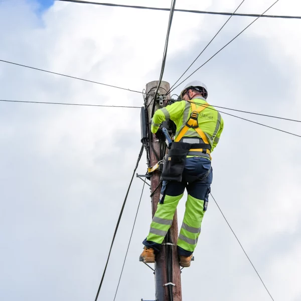 Wildanet 2026 engineer up pole