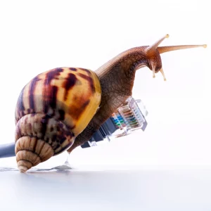 Slow snail speed UK broadband network by 123RF ID65113067