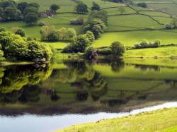 rural-countryside-uk