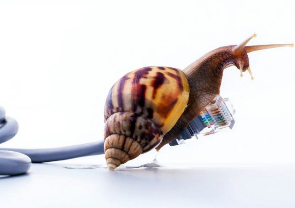 slow as a snail uk network connection